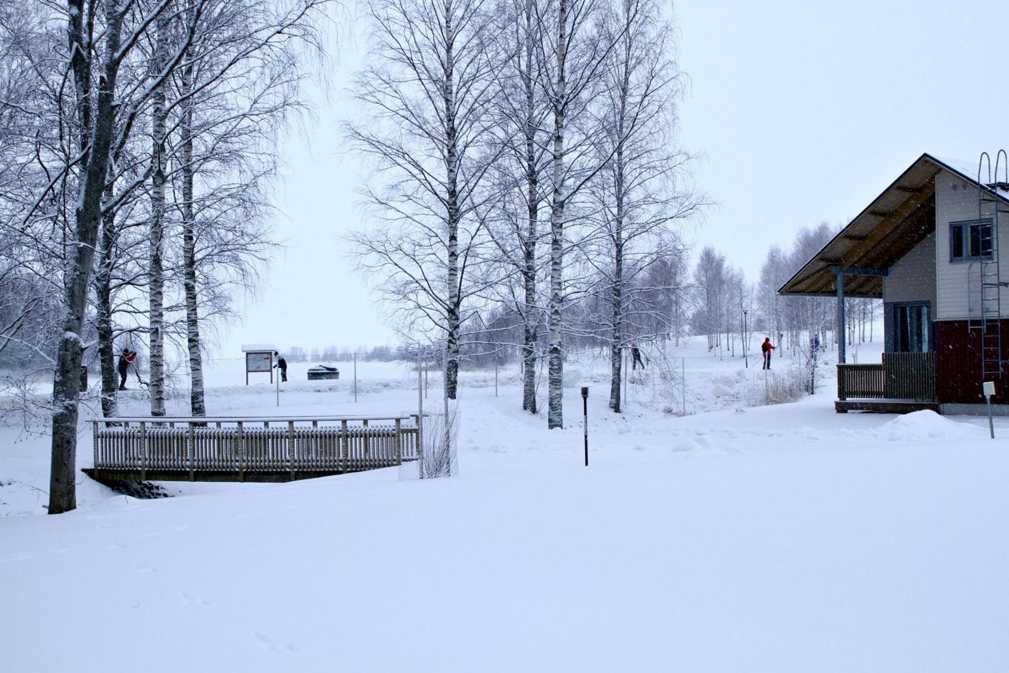 Linnunlahti